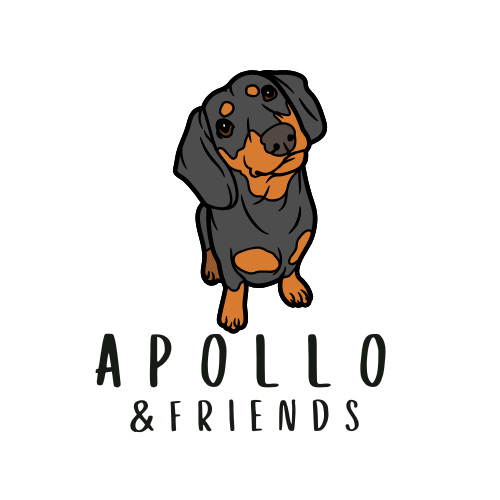 Apollo & Friends